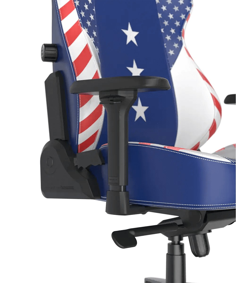 DXRacer CRA/DXL5000/USA компьютерное кресло