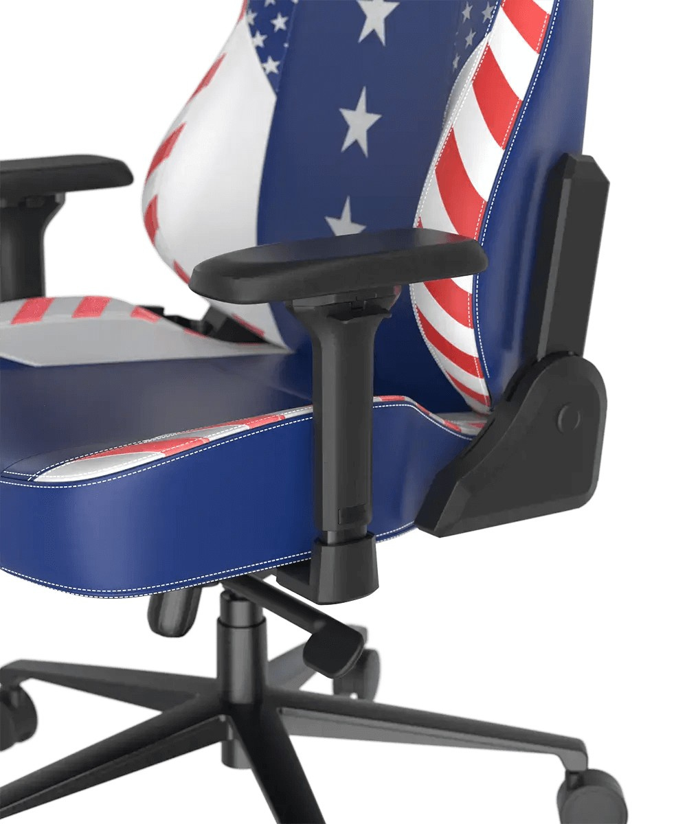 DXRacer CRA/DXL5000/USA компьютерное кресло