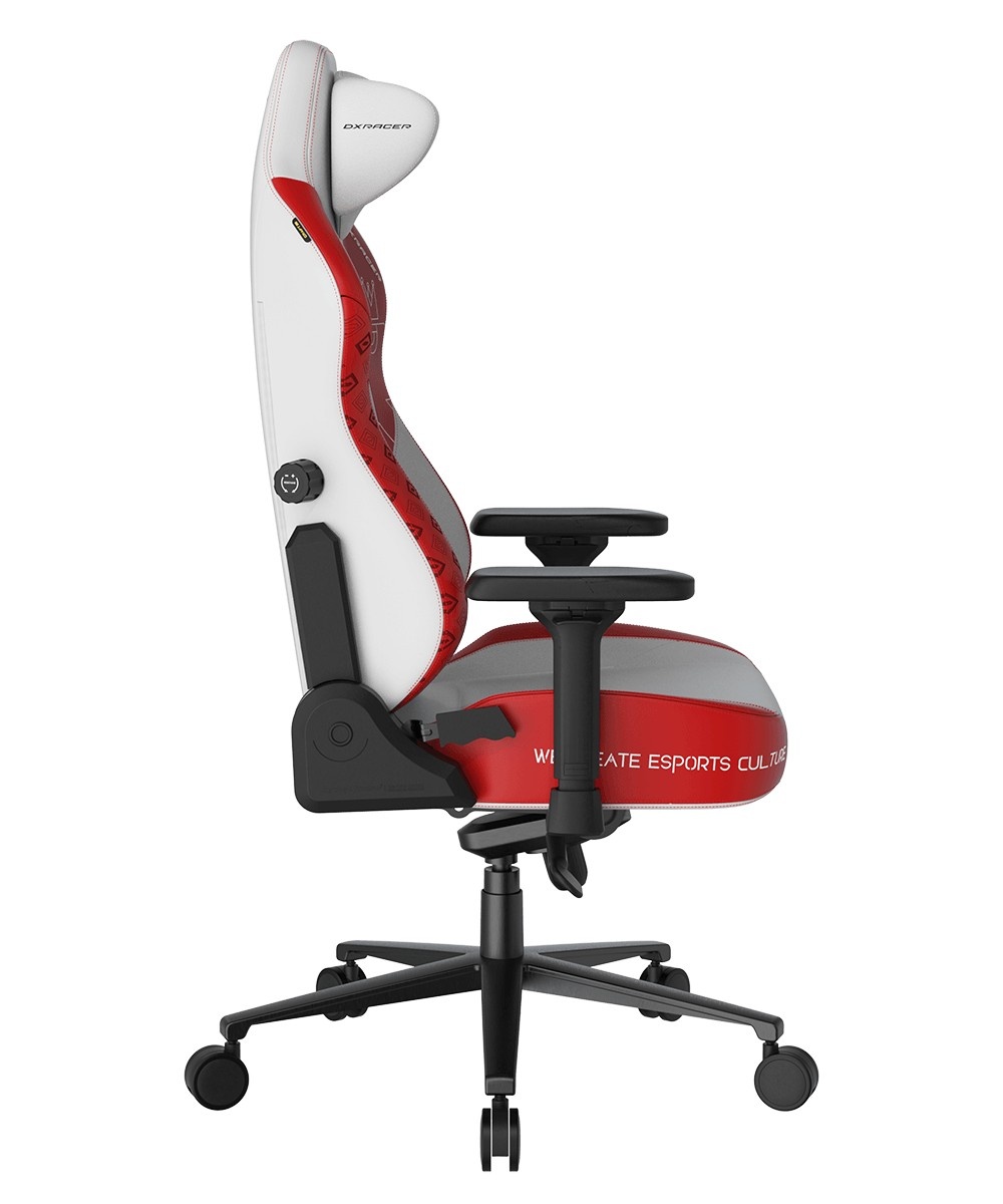 DXRacer CRA/DXL5000/ ASHWINDER.WR компьютерное кресло