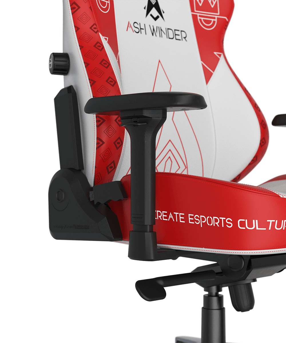 DXRacer CRA/DXL5000/ ASHWINDER.WR компьютерное кресло