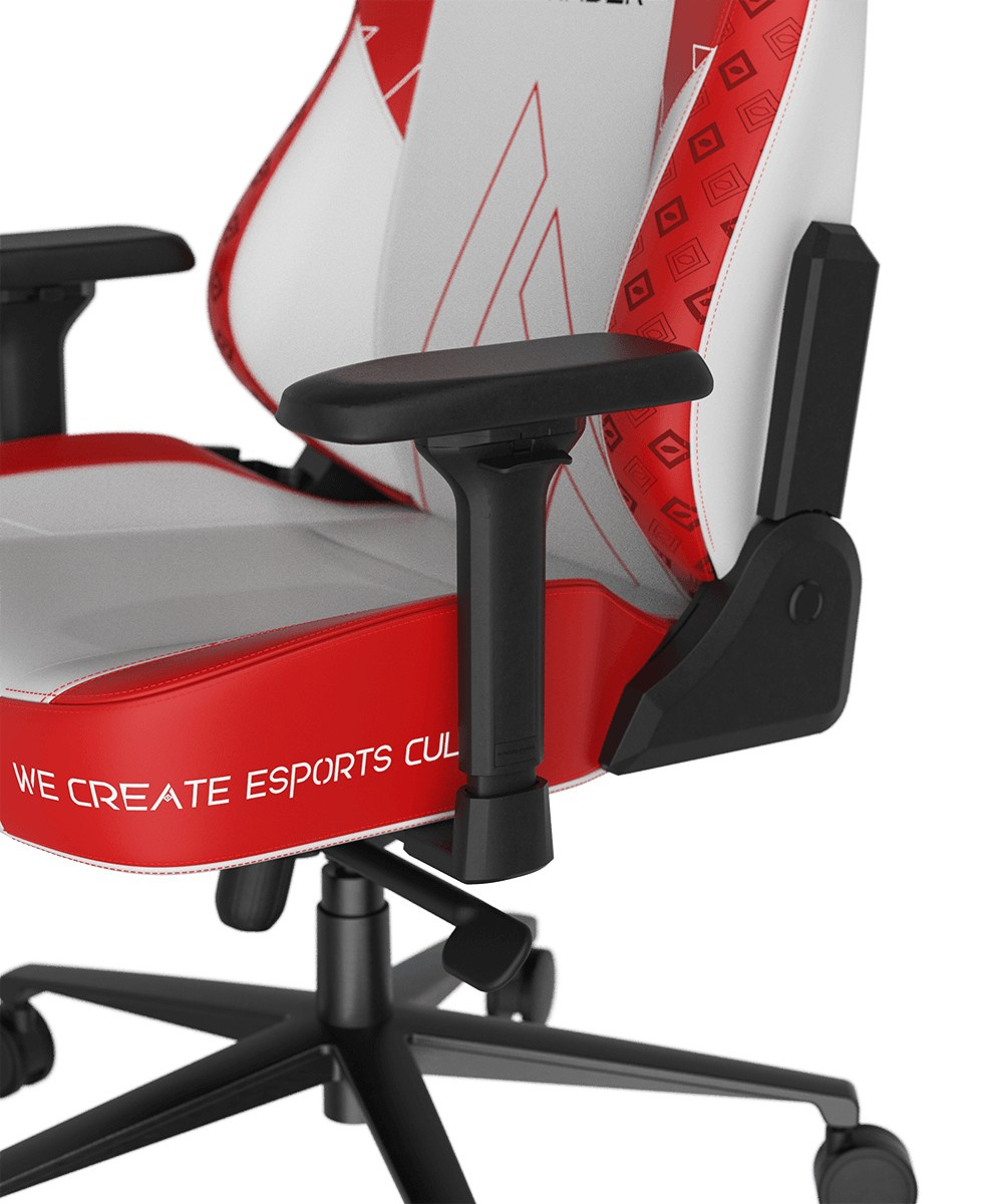 DXRacer CRA/DXL5000/ ASHWINDER.WR компьютерное кресло