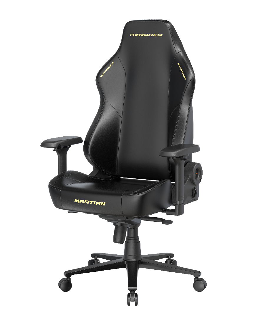 DXRacer OH/LMT24LTA/N.N.Y компьютерное кресло